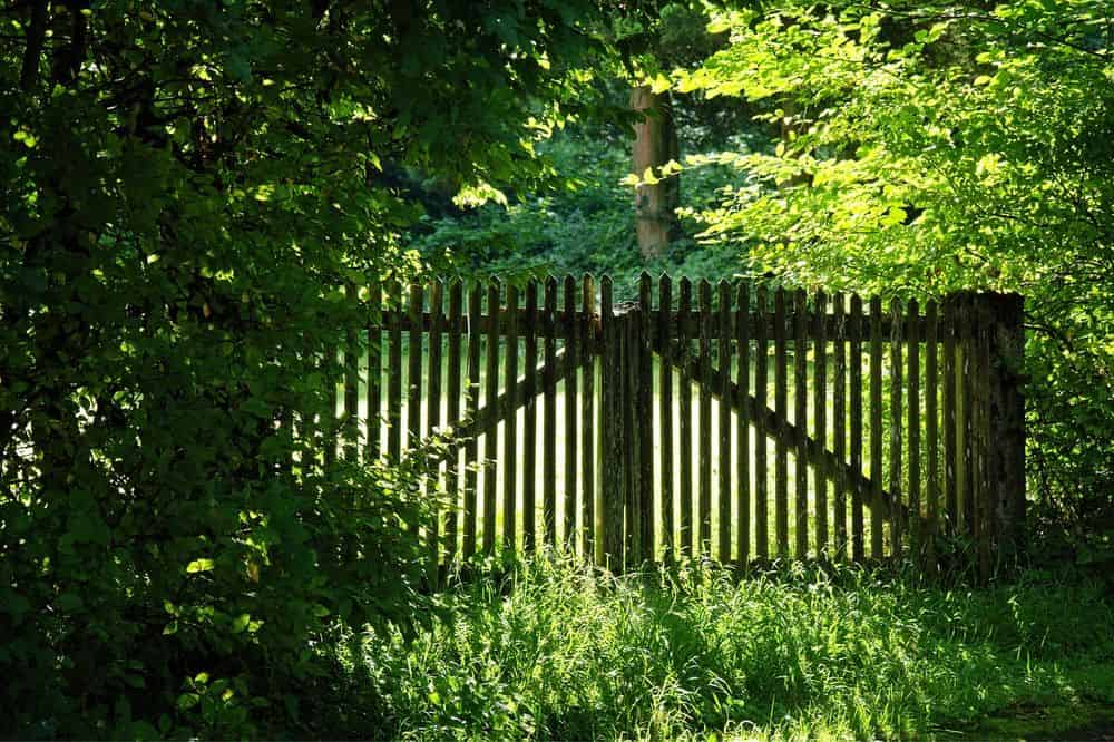Fence Installation and Repair image