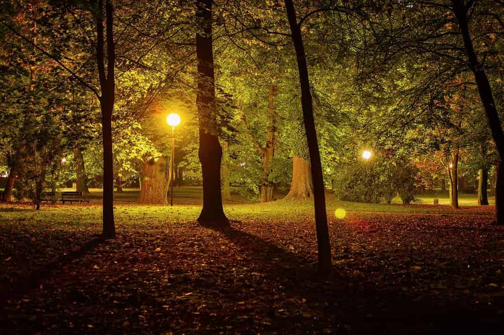 Landscape Lighting image