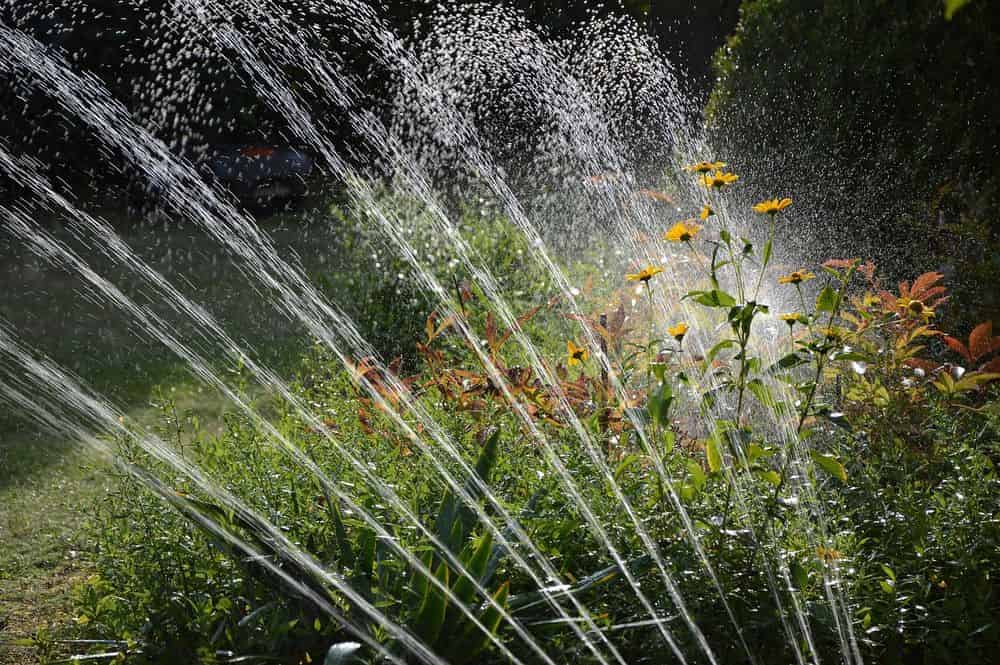 Irrigation and Drainage Solutions image